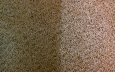 Carpet Cleaning Stain Removal Guide